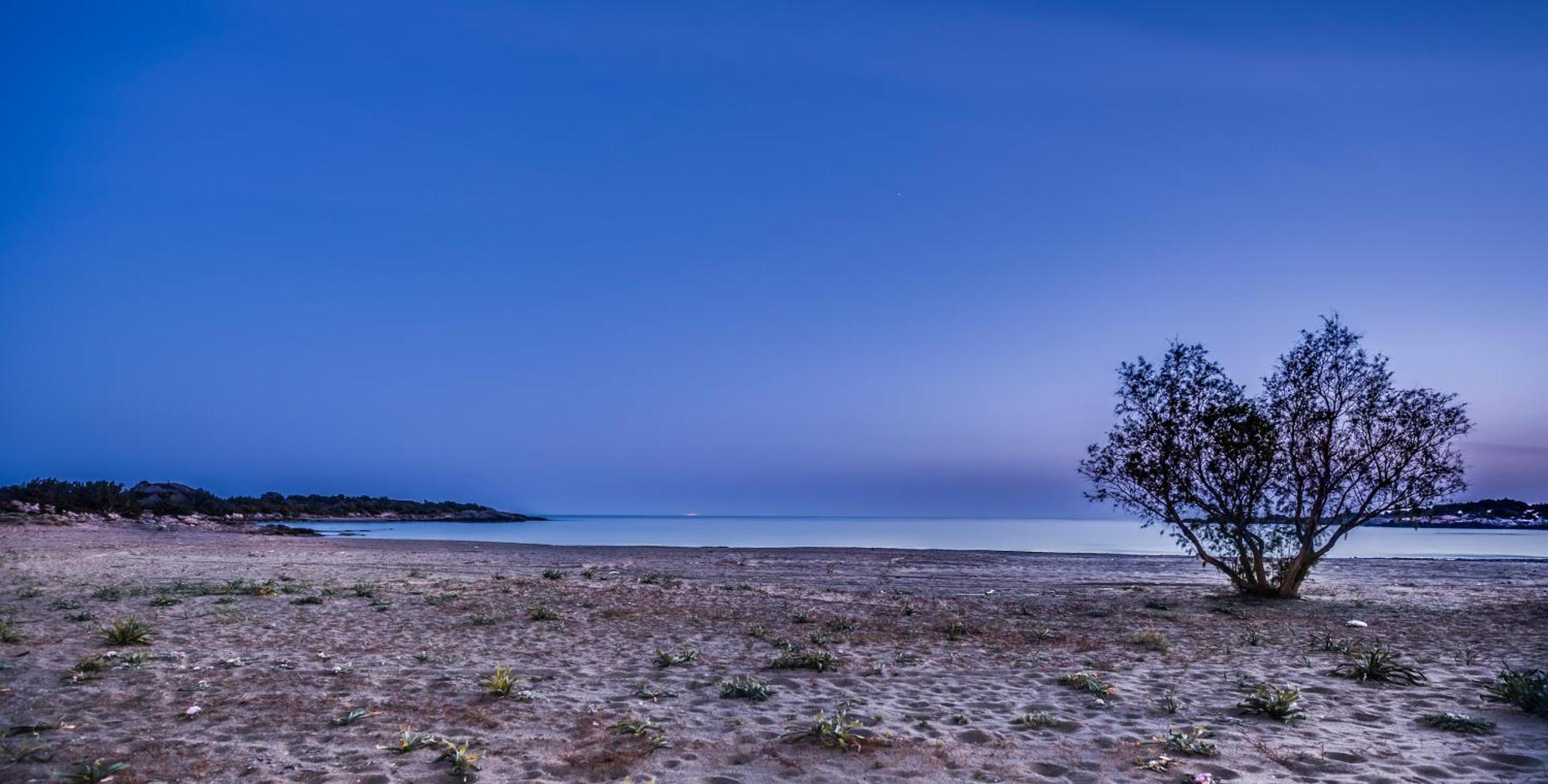 Cedar Bay Beachside Villas Палеохора Экстерьер фото